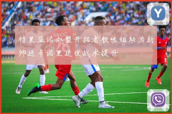 特里亚诺加盟开拓者教练组助力新帅迈卡诺里进攻战术提升