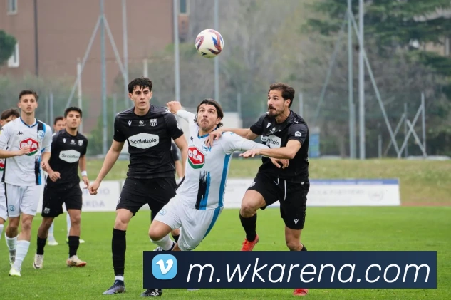 悟空体育发展历程