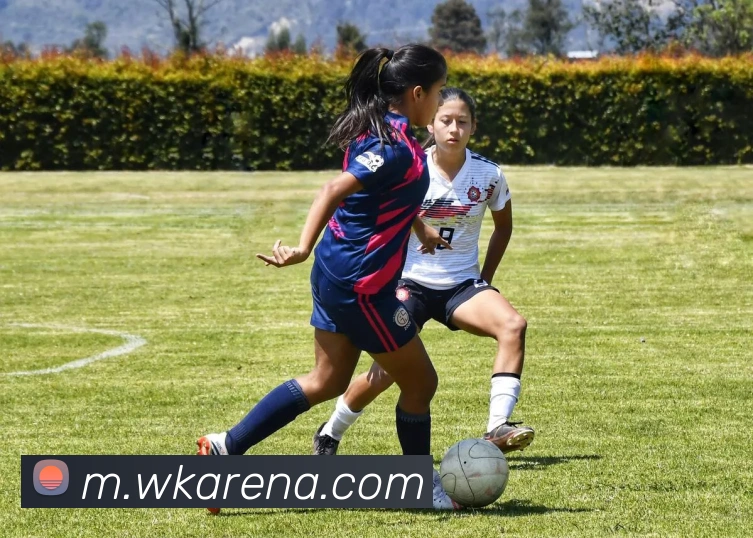 本季大空位三分命中率排行榜揭晓独行侠表现最差活塞紧随其后雷霆排名第九